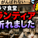 ジオラマ食堂といよいよ裁判する時がやってきました。その行方は…